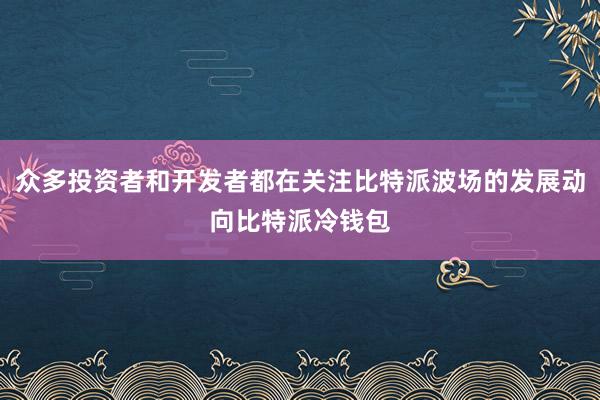 众多投资者和开发者都在关注比特派波场的发展动向比特派冷钱包