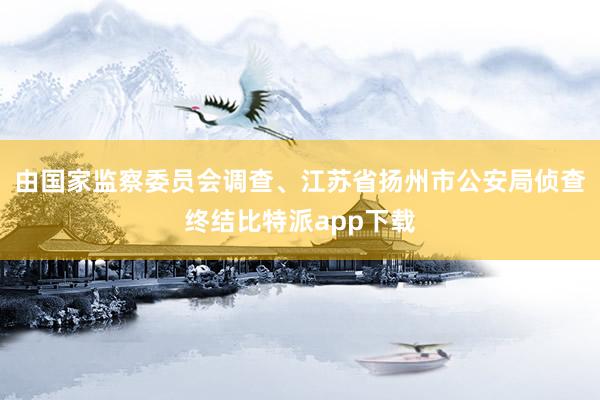 由国家监察委员会调查、江苏省扬州市公安局侦查终结比特派app下载