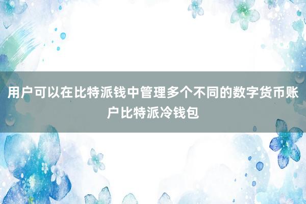 用户可以在比特派钱中管理多个不同的数字货币账户比特派冷钱包