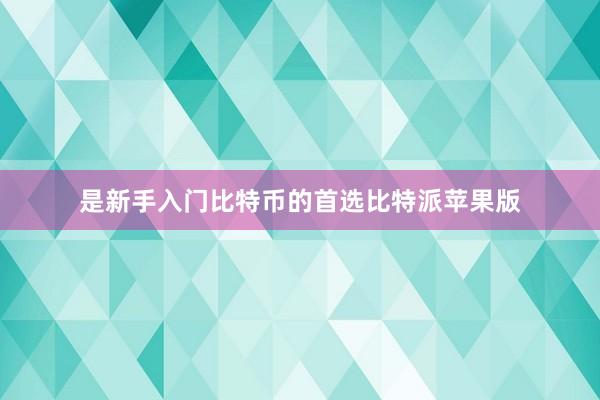 是新手入门比特币的首选比特派苹果版