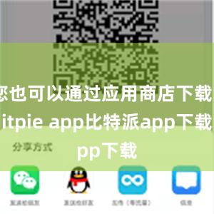 您也可以通过应用商店下载Bitpie app比特派app下载