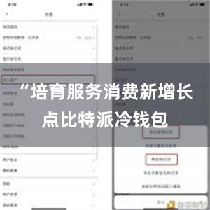 “培育服务消费新增长点比特派冷钱包